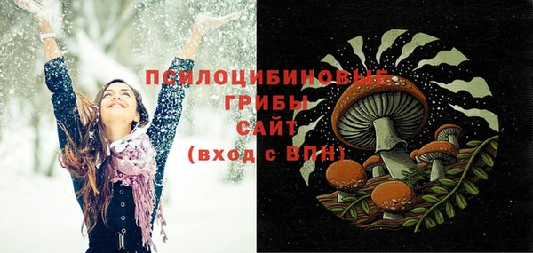 дживик Абинск