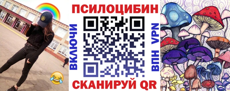 Галлюциногенные грибы Psilocybine cubensis  Нефтегорск 